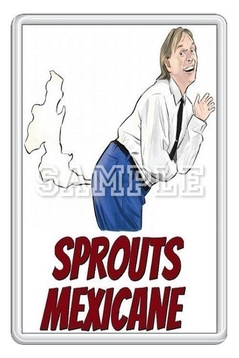 Bottom 90's TV Series Inspired Exclusive Hand Drawn Sprouts Mexicane Artwork Fridge Magnet